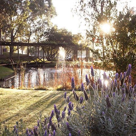 Hunter Valley Resort, Hunter Farm Adventure Centre & 4 Pines At The Farm Pokolbin Εξωτερικό φωτογραφία