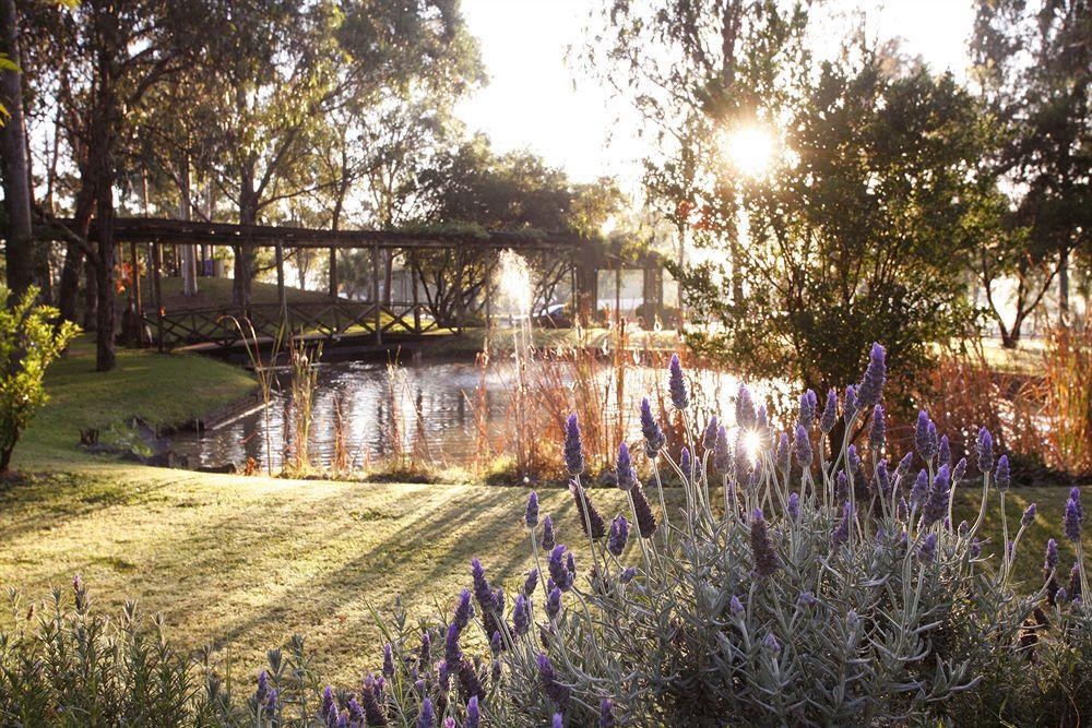 Hunter Valley Resort, Hunter Farm Adventure Centre & 4 Pines At The Farm Pokolbin Εξωτερικό φωτογραφία
