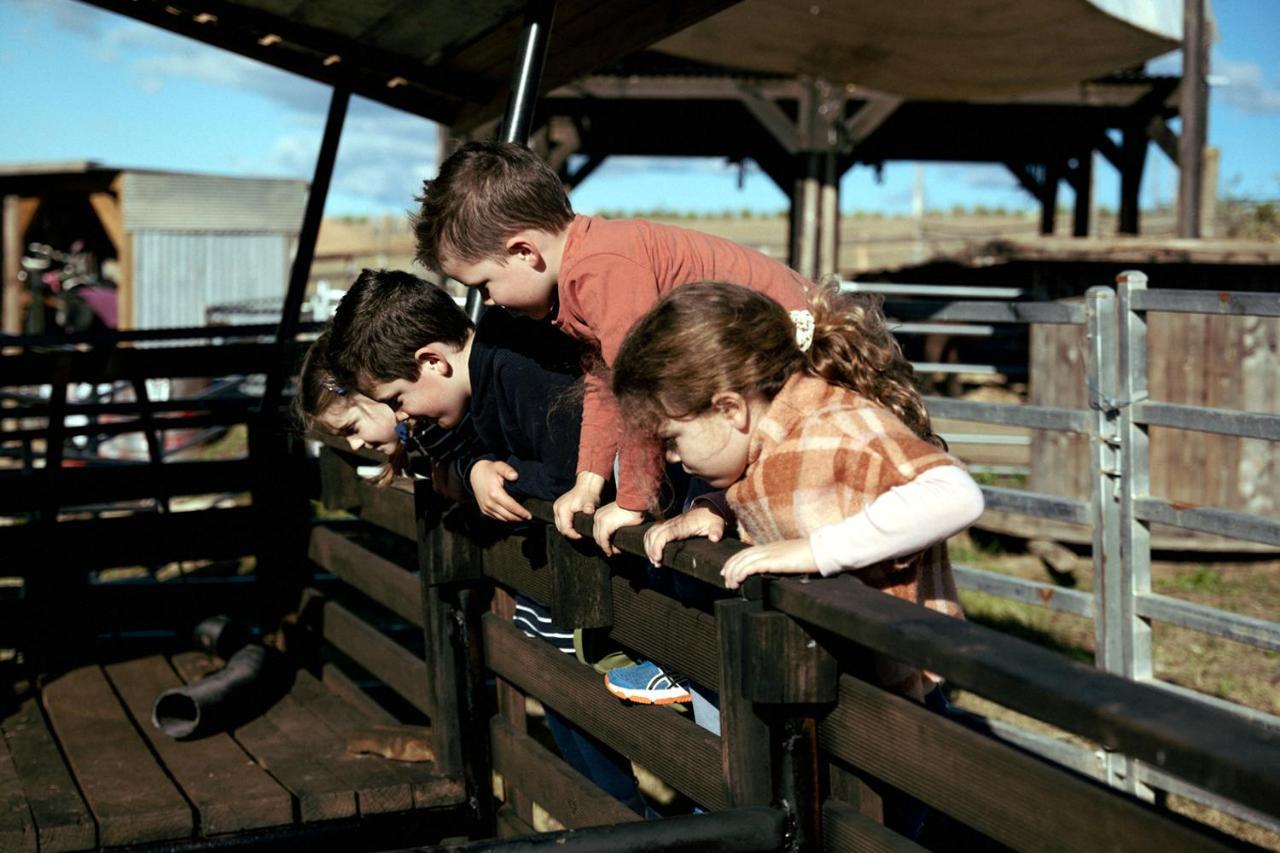 Hunter Valley Resort, Hunter Farm Adventure Centre & 4 Pines At The Farm Pokolbin Εξωτερικό φωτογραφία