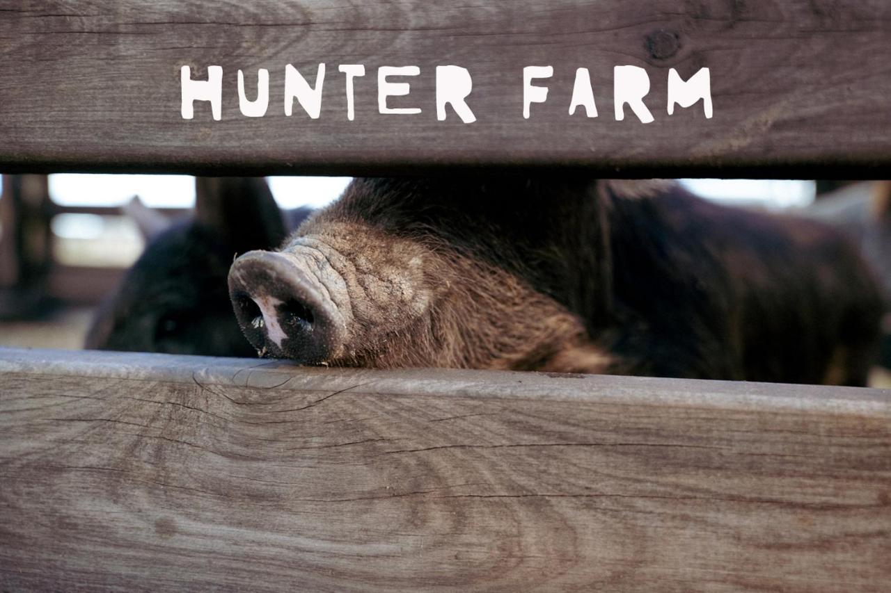 Hunter Valley Resort, Hunter Farm Adventure Centre & 4 Pines At The Farm Pokolbin Εξωτερικό φωτογραφία