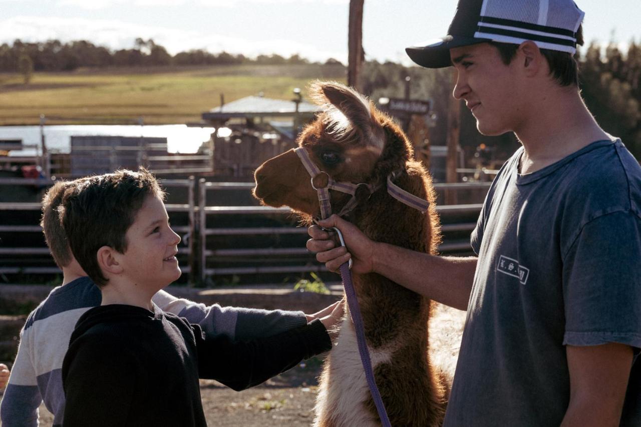 Hunter Valley Resort, Hunter Farm Adventure Centre & 4 Pines At The Farm Pokolbin Εξωτερικό φωτογραφία