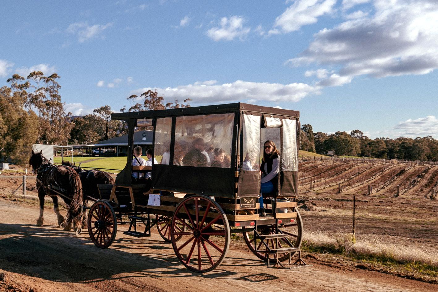 Hunter Valley Resort, Hunter Farm Adventure Centre & 4 Pines At The Farm Pokolbin Εξωτερικό φωτογραφία