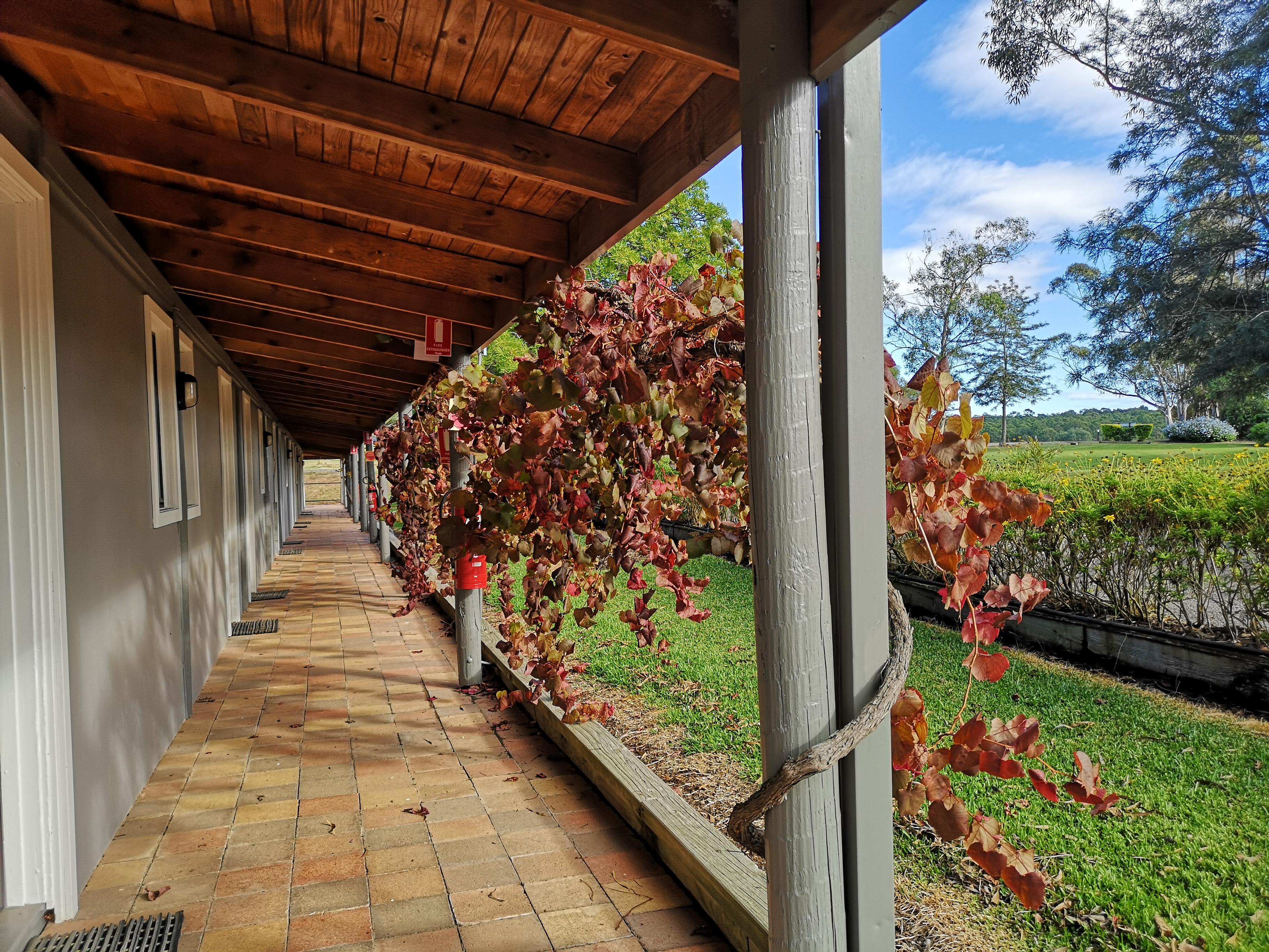 Hunter Valley Resort, Hunter Farm Adventure Centre & 4 Pines At The Farm Pokolbin Εξωτερικό φωτογραφία