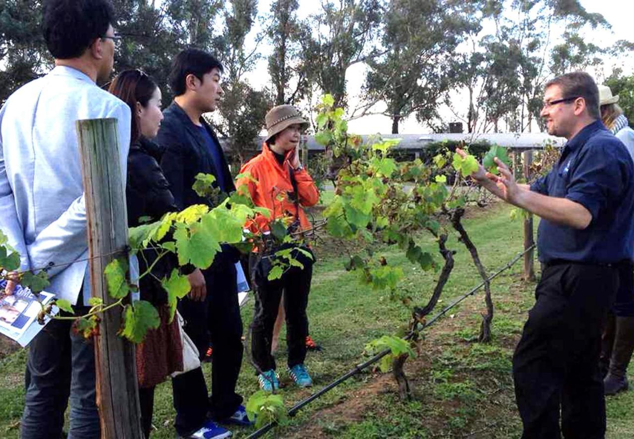 Hunter Valley Resort, Hunter Farm Adventure Centre & 4 Pines At The Farm Pokolbin Εξωτερικό φωτογραφία